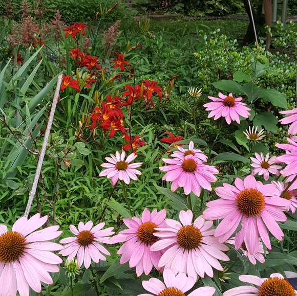 Meet your Posher, Teresa - Picture 10 of 16